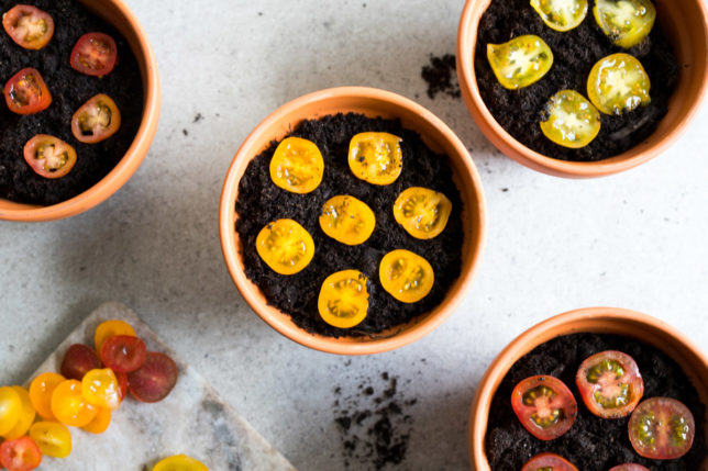 Plantera tomatskivor – enkelt och roligt – del 1 Plantera tomatskivor – enkelt och roligt – del 1