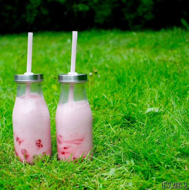 Picknick och plockmat – massor av tips Picknick och plockmat – massor av tips