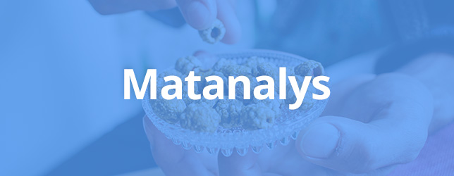 Matanalys lesscarbs